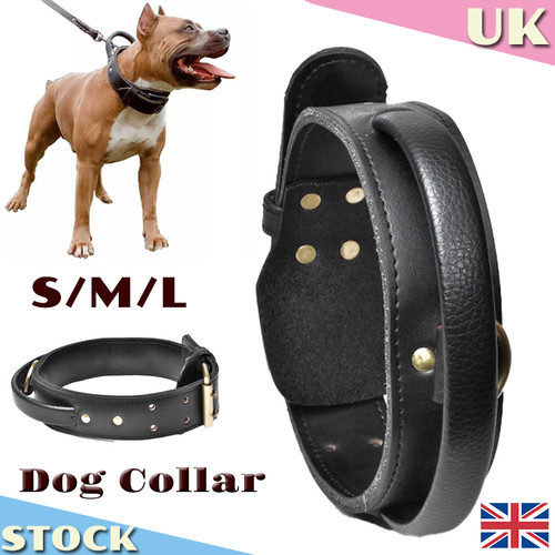 Real leather dog collar pet - dog,