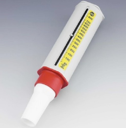 Mini wright standard peak flow - wright,