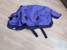 Shetland pony  Medium Turnout