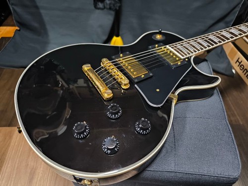 Burny les paul type electric - type,