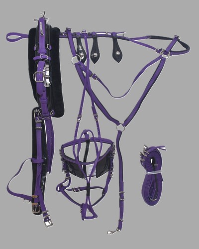 Quick hitch pvc trotting - quick,