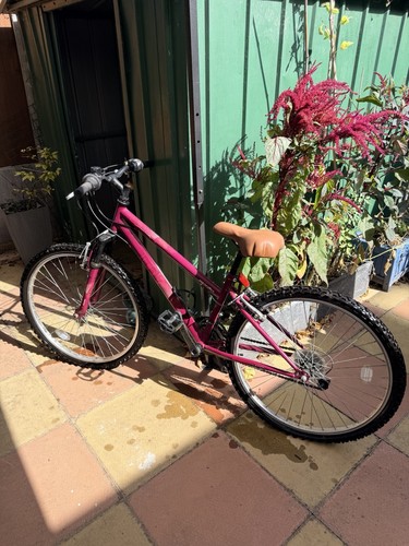 Ladies mountain bike good - mountain,