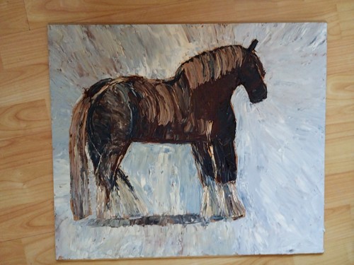 Shire horse the - in,