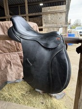 Kent And masters Black Cob GP