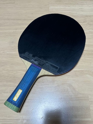 Hina hayata table tennis - fl,