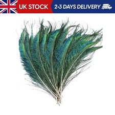 40 Pcs Peacock Sword Feathers