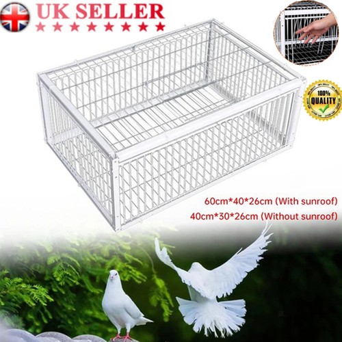 Pigeon trap cage - cage, way