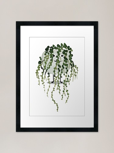 String pearls plant pal - of,