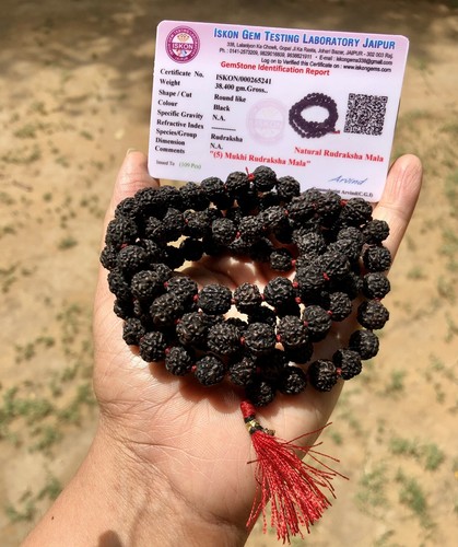 Lab certified mukhi - certified, 5