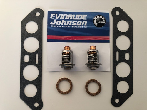 Evinrude johnson 90hp 110hp - evinrude,