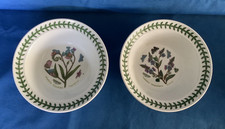 Portmeirion Botanic Garden ~