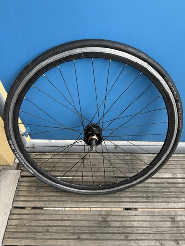 700c fixie single - fixie, rear