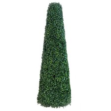 Boxwood Obelisk Topiary Tree
