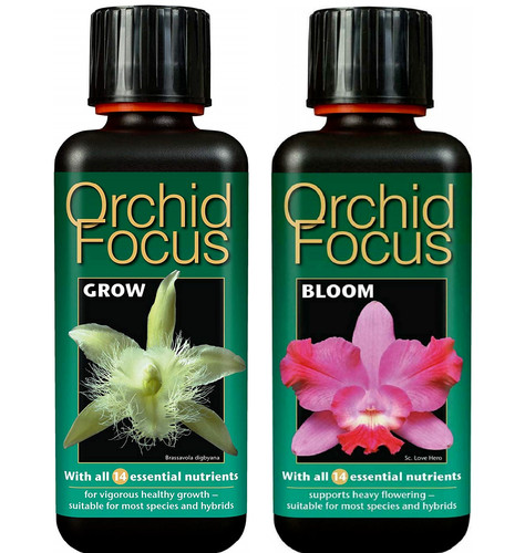Growth technology orchid - technology, focus