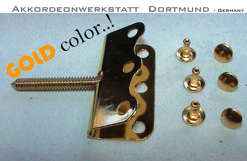 Spindle screw for accordion - screw,,