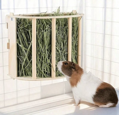 Wooden guinea pig hay feeder - guinea,