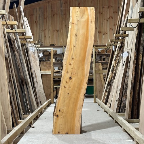 Cedar wood slab - wood, plank
