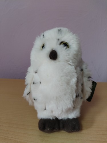 Living nature snowy owl - snowy,
