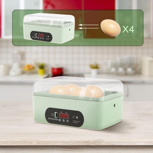 Chicken eggs incubator - chicken,