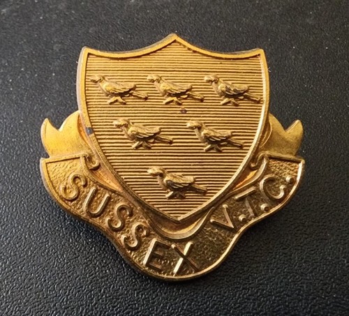 Sussex volunteer training - sussex,