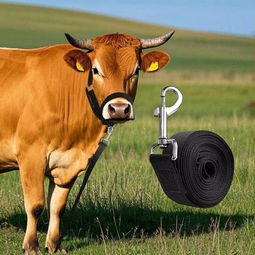 Nylon horse halter adjustable - nylon,