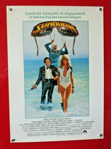 Sunburn original 1979 cinema - sunburn,
