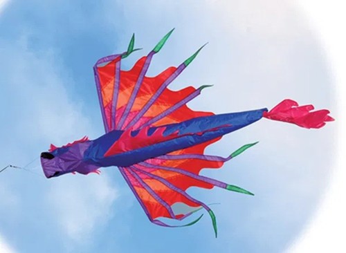 Chinese dragon windsock - chinese,
