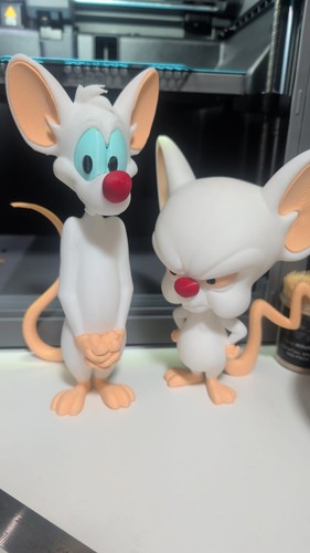 Pinky and the brain printed - and, 3d
