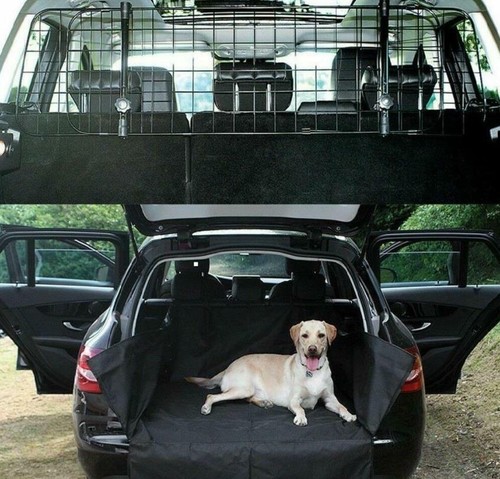 Suits toyota land - toyota,