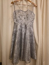 Quiz Silver Skater Dress
