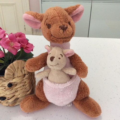 The disney store - and, roo