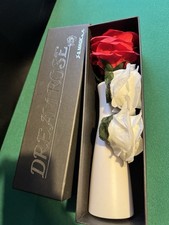 Dream Rose Magic Illusion