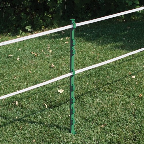 Green 3ft poly posts - x,