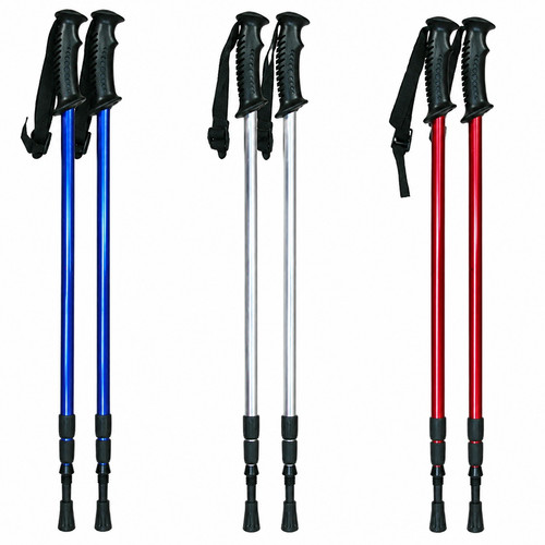 Pair nordic walking - pair, of