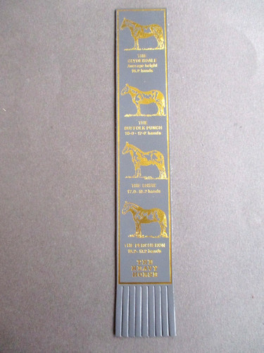 Leather bookmark the - leather,