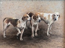 ORIGINAL FOXHOUNDS HOUNDS DOGS