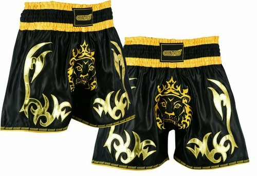 Evo muay thai shorts - evo,