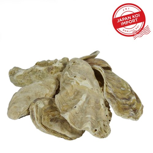 Kockney koi oyster - koi, 2kg