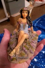 ‘The Wisteria Faerie'