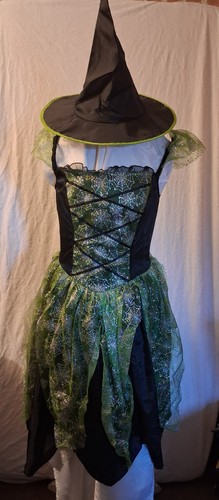 Halloween green witch fancy - halloween,