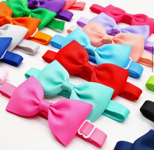 Pet bow tie - bow, dickie
