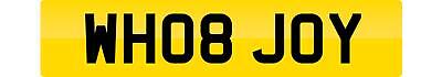 Private number plate - private, joy