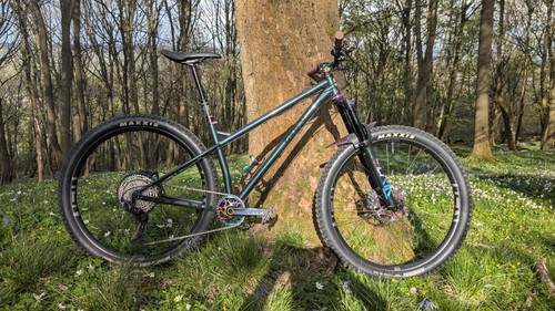 Ragley bigwig race 29er - ragley,