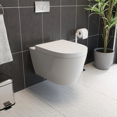 Wall hung rimless toilet - hung,
