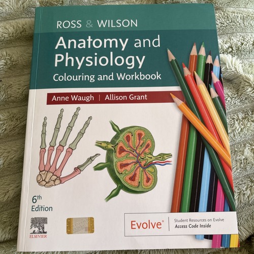 Ross and wilson anatomy - and,