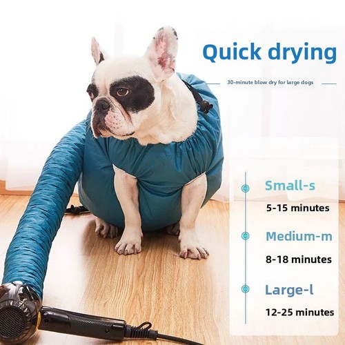 Pet dog cat grooming - dog, blower