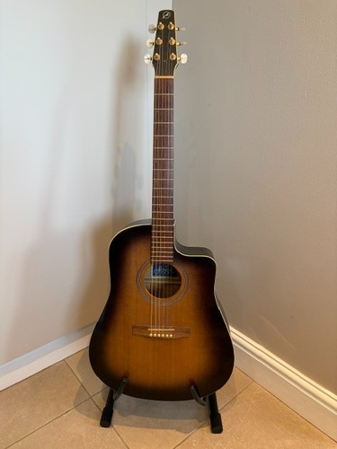 Rare seagull black burst - black,