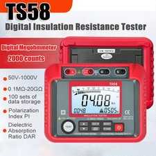 1000V Insulation Resistance