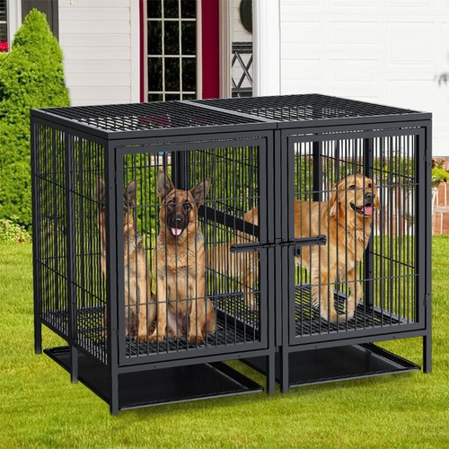 Xxl large double dog - large,