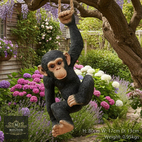 Climbing chimp monkey tree - climbing,